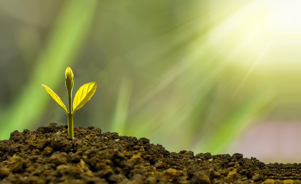 Duurzaam beleggen biodiversiteit (credits pixabay, Nature_Design).jpg Duurzaam beleggen biodiversiteit (credits pixabay, Nature_Design).jpg