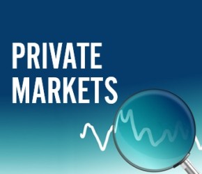 Lunch webinar discussion 'Private Markets'