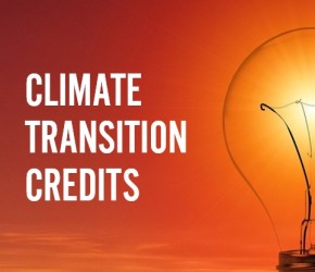 Lunch webinar discussion 'Climate Transition Credits'