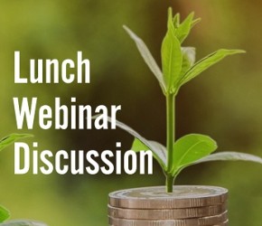 Lunch Webinar Discussion 'Sustainable Credits'