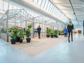 CBRE Capital Advisors - The Core
