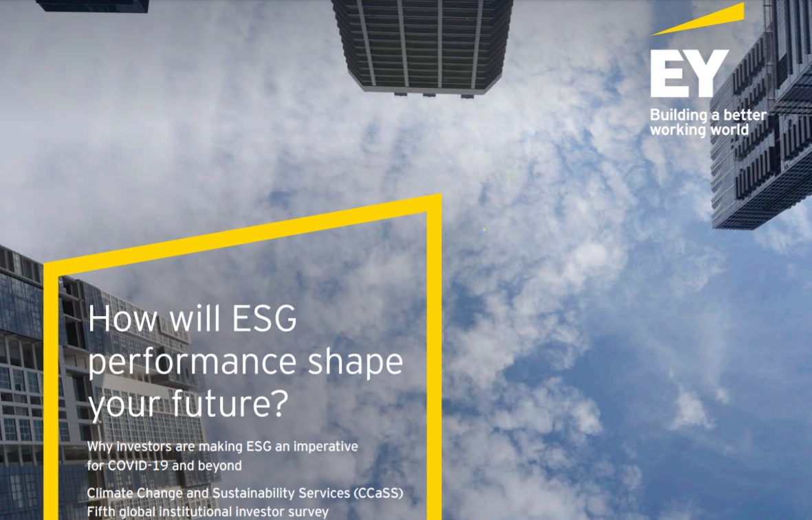 2407 ey-global-institutional-investor-survey-2020.jpg 2407 ey-global-institutional-investor-survey-2020.jpg
