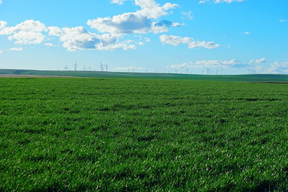 Nordea AM: Climate investing opportunities