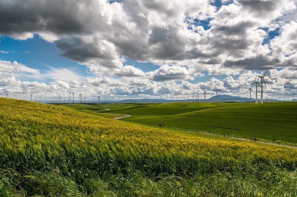 Wellington Management Launches Climate Strategy UCITS Fund